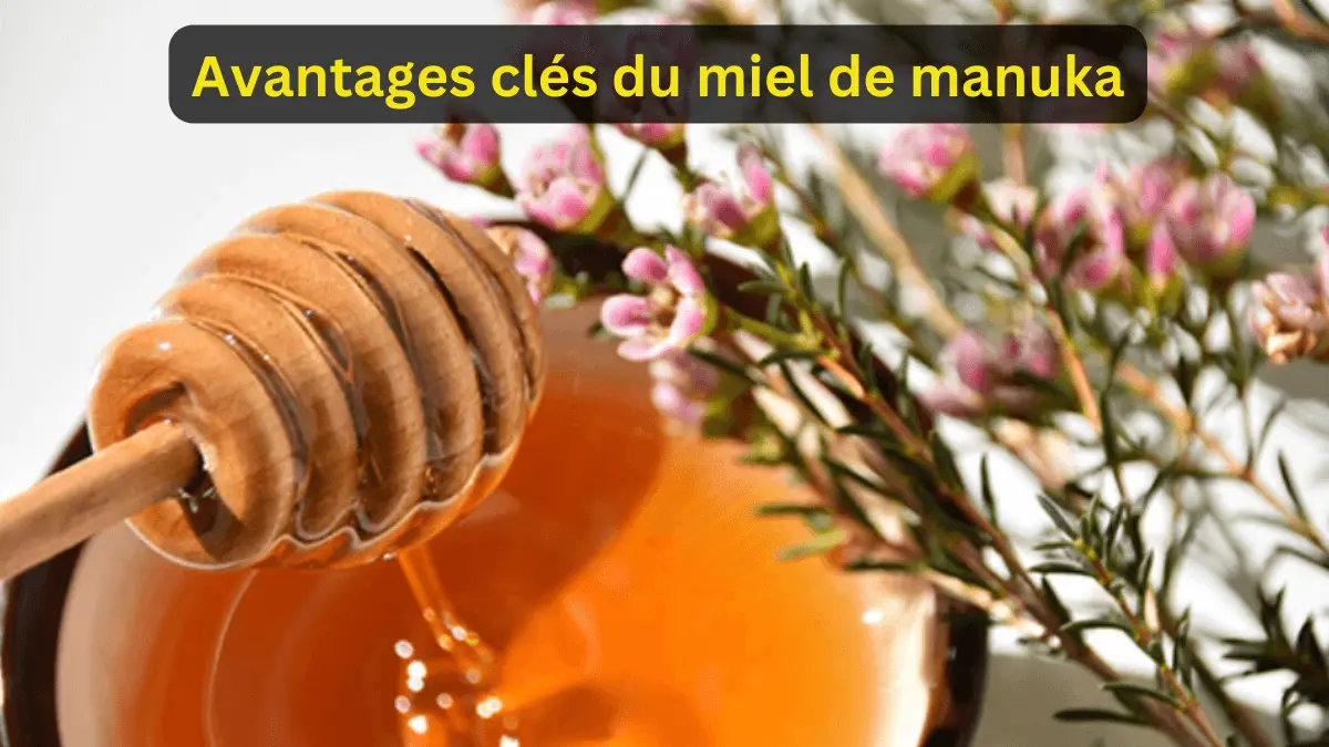 6-avantages-cles-du-miel-de-manuka