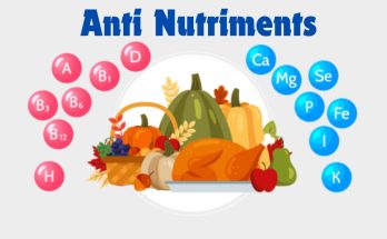 Que sont les Anti Nutriments : Le rôle des nutriments et de la consommation
